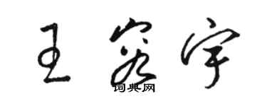 駱恆光王容宇草書個性簽名怎么寫