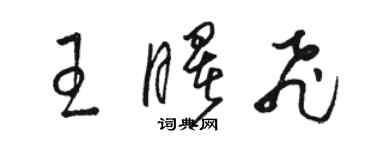 駱恆光王曙飛草書個性簽名怎么寫