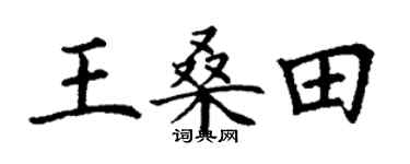 丁謙王桑田楷書個性簽名怎么寫