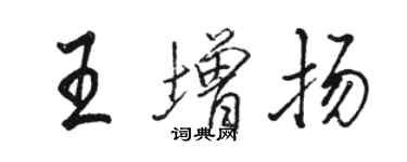 駱恆光王增揚行書個性簽名怎么寫