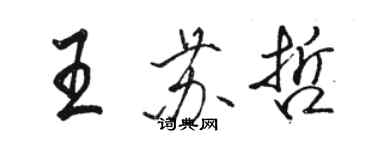 駱恆光王蘇哲行書個性簽名怎么寫