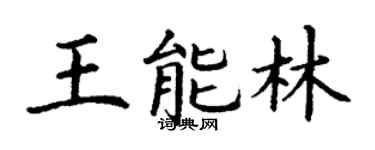 丁謙王能林楷書個性簽名怎么寫