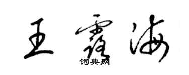 梁錦英王露海草書個性簽名怎么寫