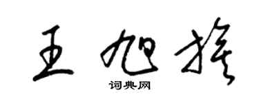 梁錦英王旭旗草書個性簽名怎么寫