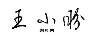 梁錦英王小盼草書個性簽名怎么寫