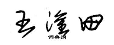 朱錫榮王淦田草書個性簽名怎么寫