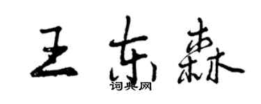 曾慶福王東森行書個性簽名怎么寫