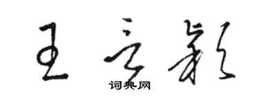 駱恆光王言穎草書個性簽名怎么寫