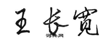 駱恆光王長寬行書個性簽名怎么寫