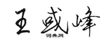 駱恆光王或峰行書個性簽名怎么寫