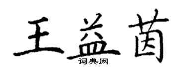 丁謙王益茵楷書個性簽名怎么寫