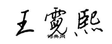 王正良王霓熙行書個性簽名怎么寫