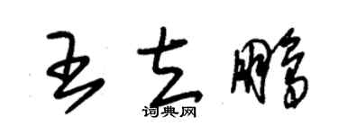 朱錫榮王立鵬草書個性簽名怎么寫