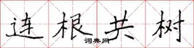 侯登峰連根共樹楷書怎么寫
