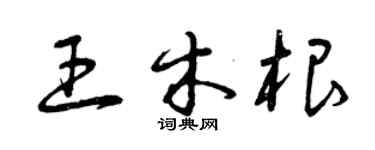 曾慶福王木根草書個性簽名怎么寫