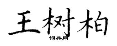 丁謙王樹柏楷書個性簽名怎么寫