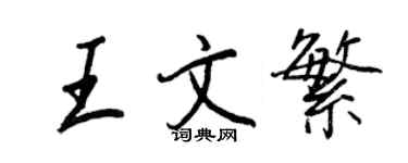 王正良王文繁行書個性簽名怎么寫