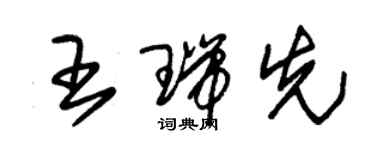 朱錫榮王瑞先草書個性簽名怎么寫