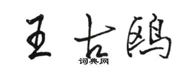 駱恆光王古鷗行書個性簽名怎么寫