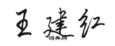 駱恆光王建紅行書個性簽名怎么寫