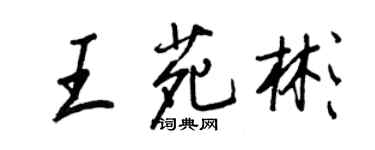 王正良王苑彬行書個性簽名怎么寫