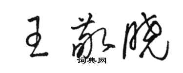 駱恆光王敬曉草書個性簽名怎么寫