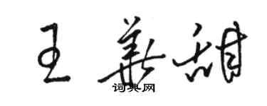 駱恆光王華甜草書個性簽名怎么寫