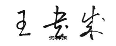 駱恆光王書成草書個性簽名怎么寫
