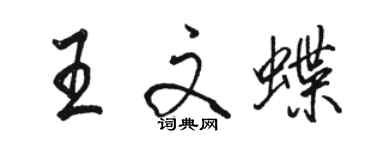 駱恆光王文蝶行書個性簽名怎么寫