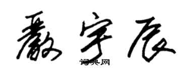 朱錫榮嚴宇辰草書個性簽名怎么寫