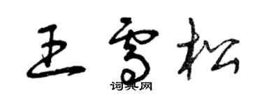 曾慶福王雪松草書個性簽名怎么寫