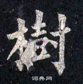 裴休圭峰禪師碑中樹的寫法
