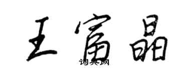 王正良王富晶行書個性簽名怎么寫