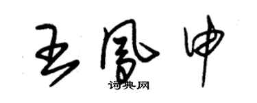 朱錫榮王鳳申草書個性簽名怎么寫