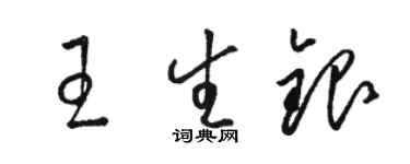 駱恆光王生銀草書個性簽名怎么寫