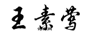 胡問遂王素鶯行書個性簽名怎么寫