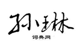 曾慶福孫琳行書個性簽名怎么寫