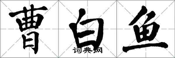 翁闓運曹白魚楷書怎么寫