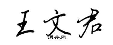 王正良王文君行書個性簽名怎么寫