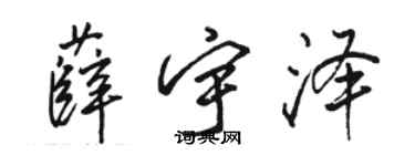 駱恆光薛宇澤行書個性簽名怎么寫