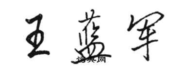 駱恆光王藍軍行書個性簽名怎么寫