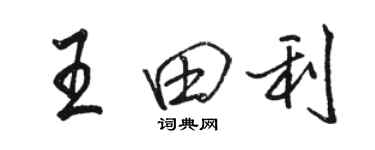 駱恆光王田利行書個性簽名怎么寫