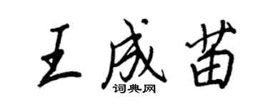 王正良王成苗行書個性簽名怎么寫