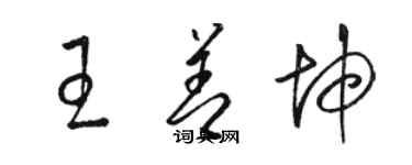 駱恆光王善坤草書個性簽名怎么寫