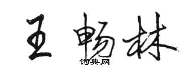 駱恆光王暢林行書個性簽名怎么寫
