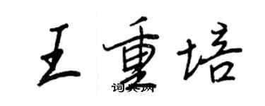 王正良王重培行書個性簽名怎么寫