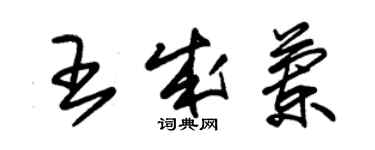 朱錫榮王成蘭草書個性簽名怎么寫