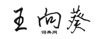 駱恆光王向葵行書個性簽名怎么寫