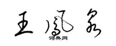 梁錦英王鳳泉草書個性簽名怎么寫