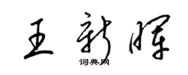 梁錦英王新暉草書個性簽名怎么寫